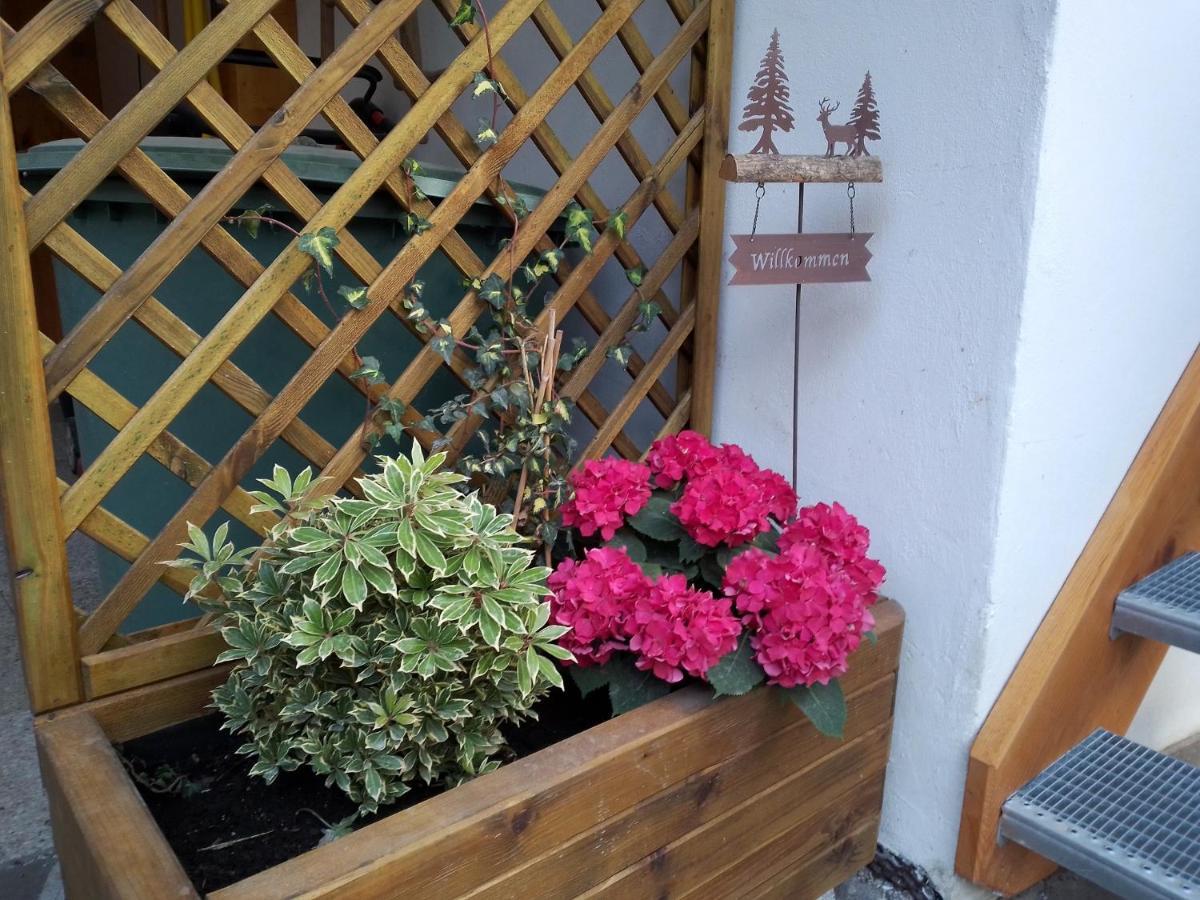 Ferienwohnung Bergzeit Oberwössen المظهر الخارجي الصورة
