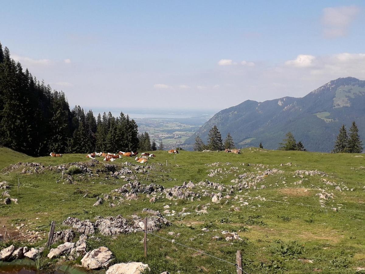Ferienwohnung Bergzeit Oberwössen المظهر الخارجي الصورة